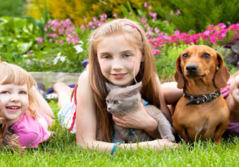 Family Pet Dog&Cat Cremation